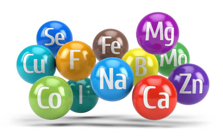 Übersäuerung – Welche Rolle spielt der Mineralstoffhaushalt?