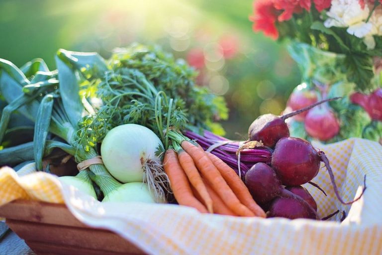 Basische Ernährung – was ist das eigentlich?