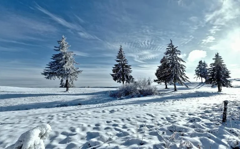 Basenfasten im Winter